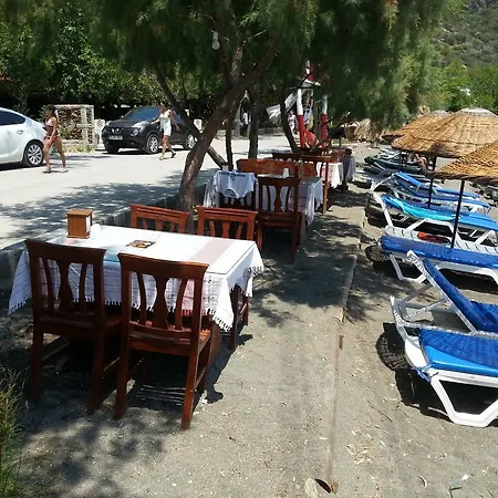 Gul * Mesudiye (Datca)