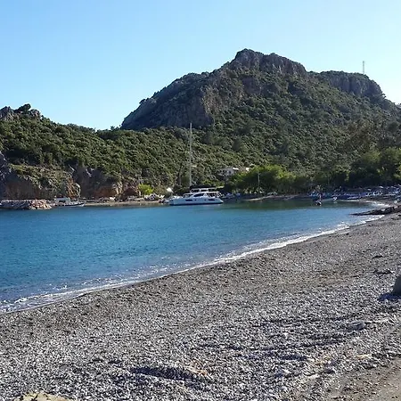Gul Gazde/Camere de închiriat