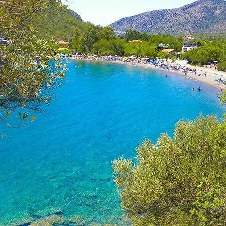 Gul * Mesudiye (Datca)